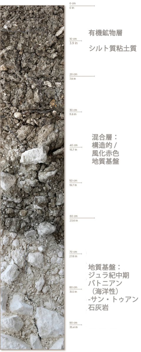 シャンパーニュ クリストフ バロン レザルエット 2018 : オルカ